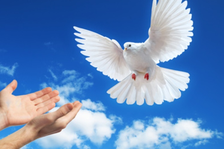 img008078 135 20150904 054954