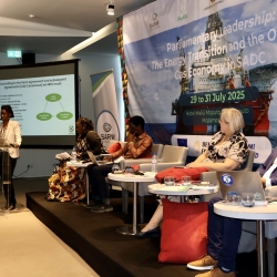 Conferência Regional sobre - Liderança Parlamentar: Transição Energética e o Sector de Petróleo e Gás na SADC - Maputo - 29 e 31 de Julho de 2025
